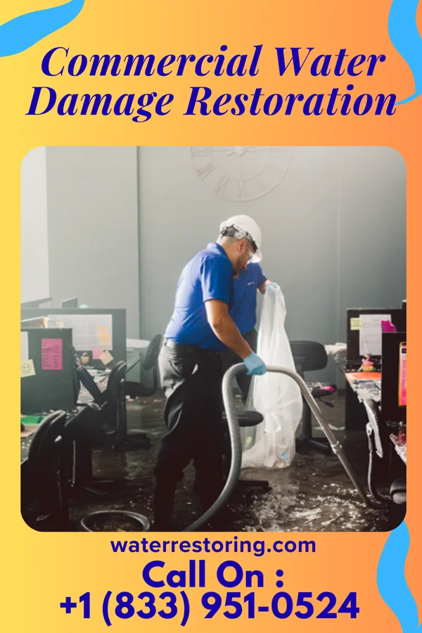 Commercial Water Damage Restoration in Crouch, ID