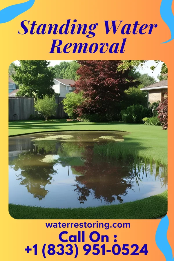 Standing Water Removal in Crouch, ID